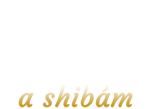 Shibaszőrös póló